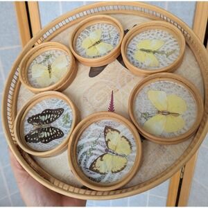 Vintage Faux Pressed Butterfly and foliage Coaster and tray Set of 7